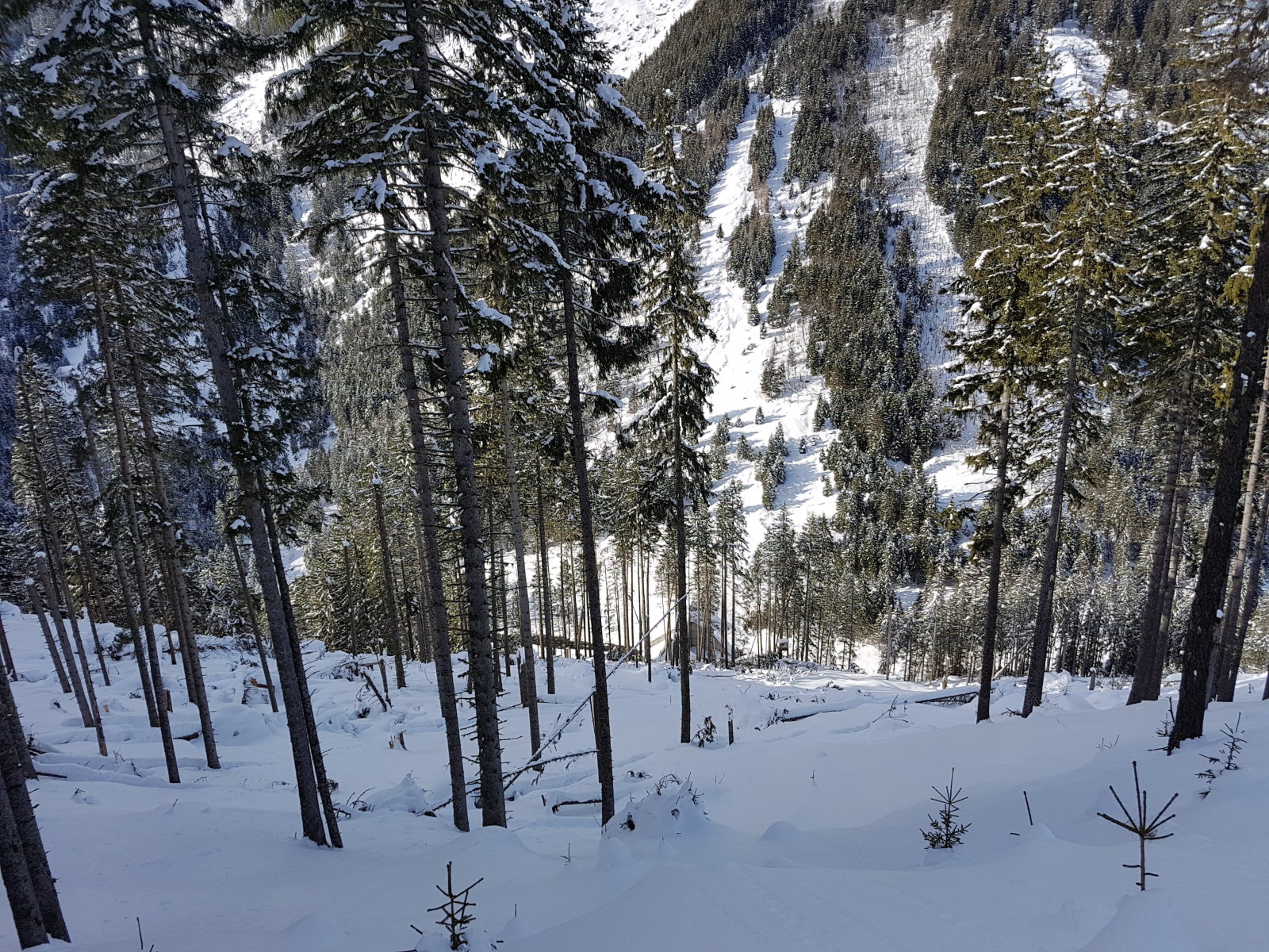 Angertal hátsó, víztározós kör