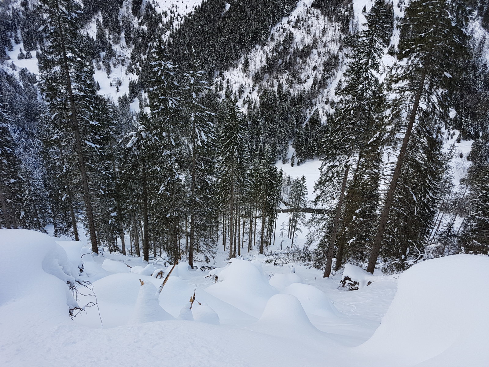 Angertal hátsó, víztározós kör