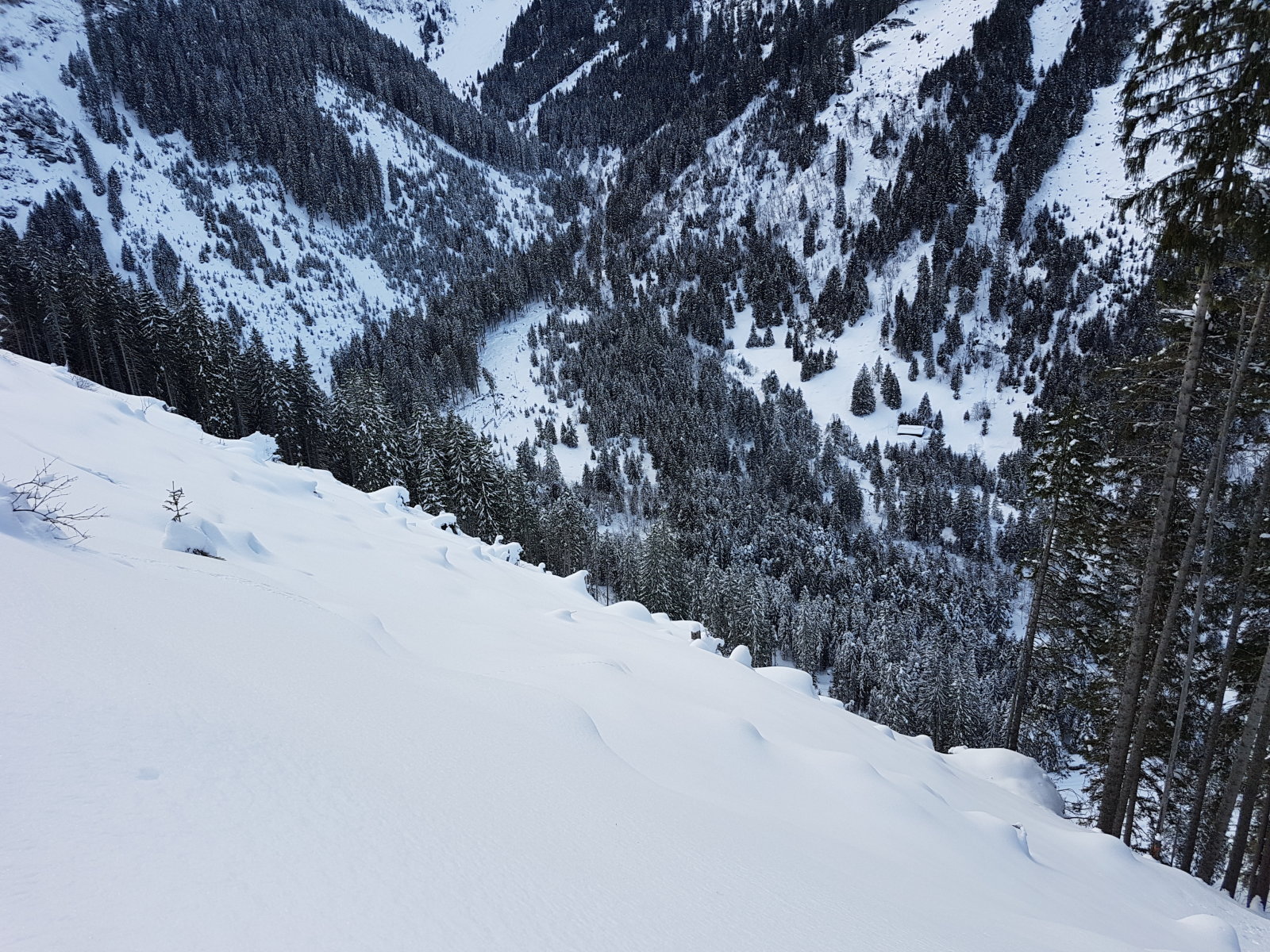 Angertal hátsó, víztározó feletti tisztás