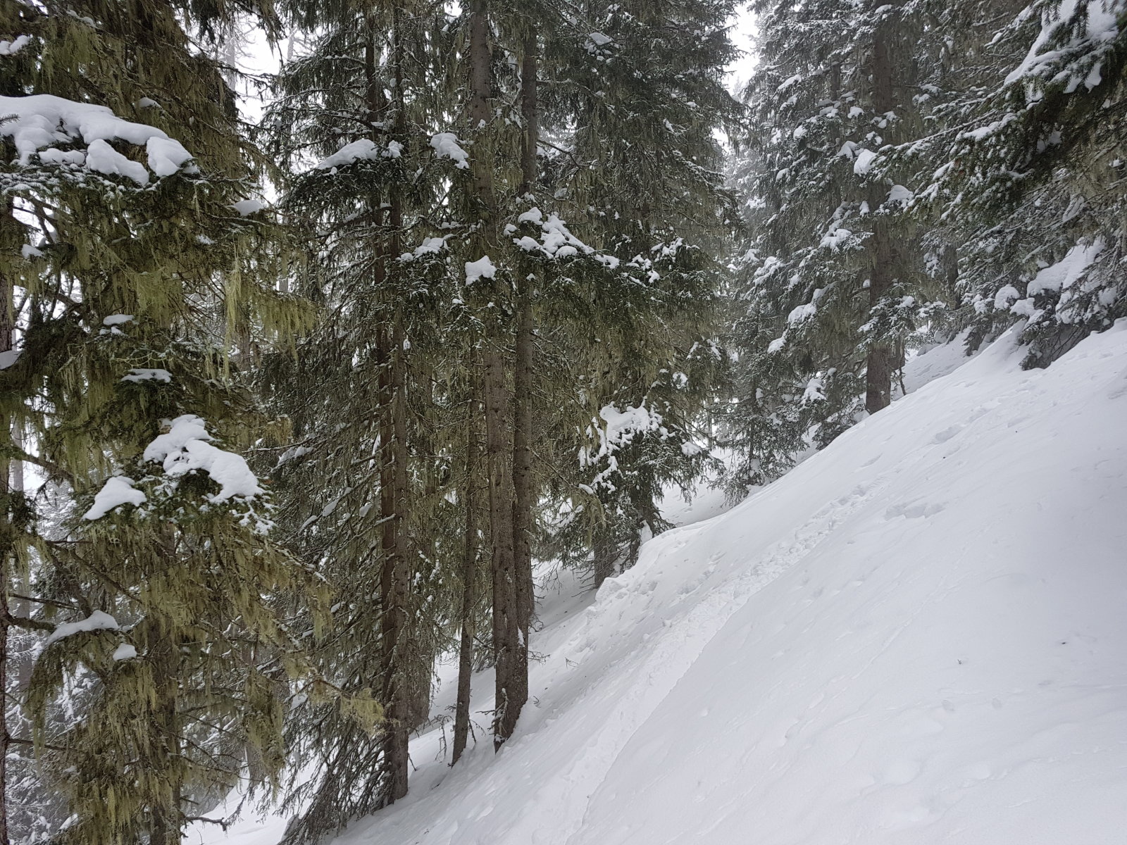Bad Gastein, Graukogel