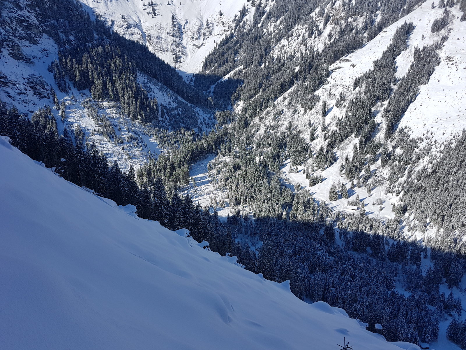 Angertal hátsó, víztározó feletti tisztás