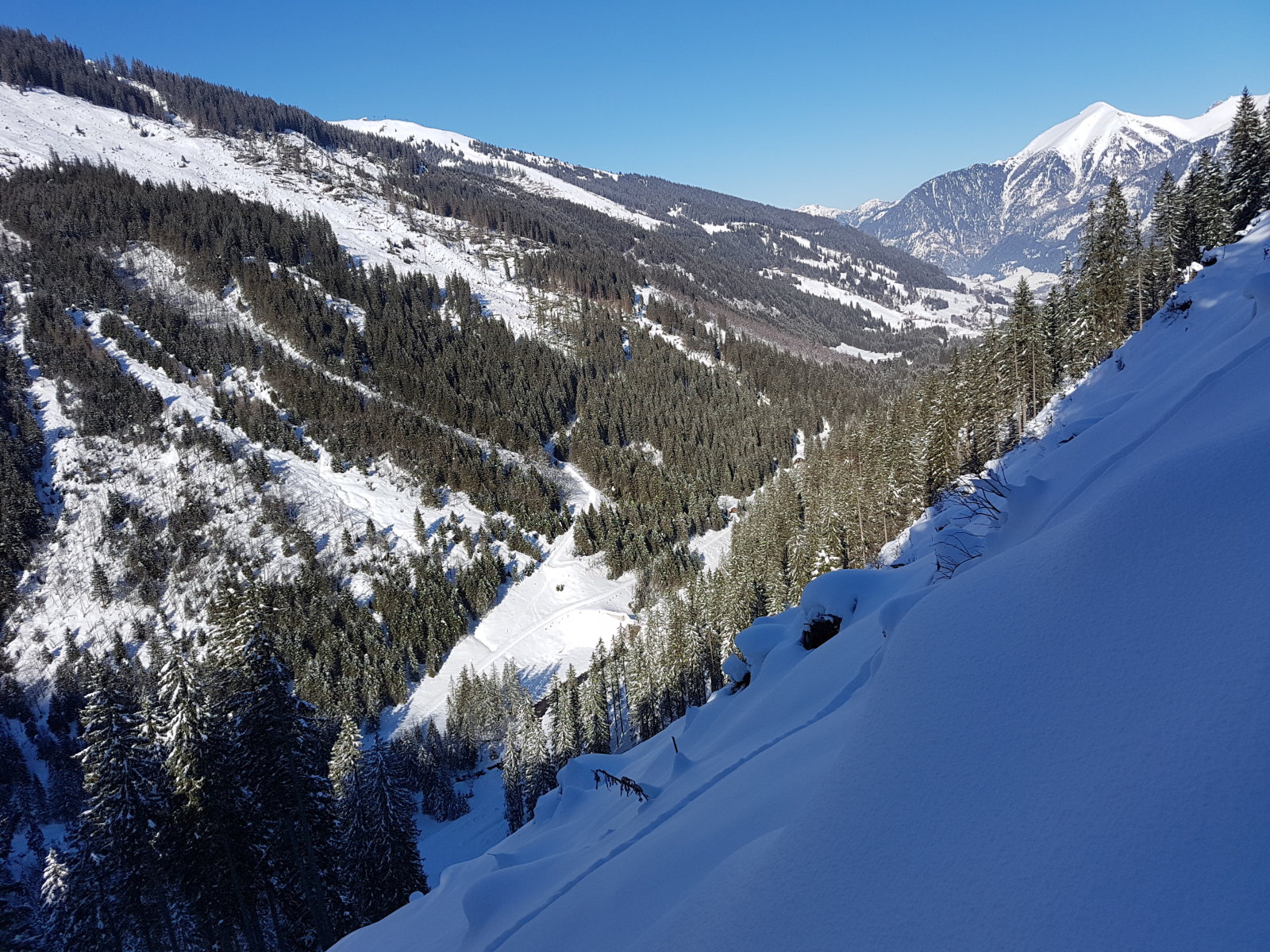 Angertal hátsó, víztározó feletti tisztás