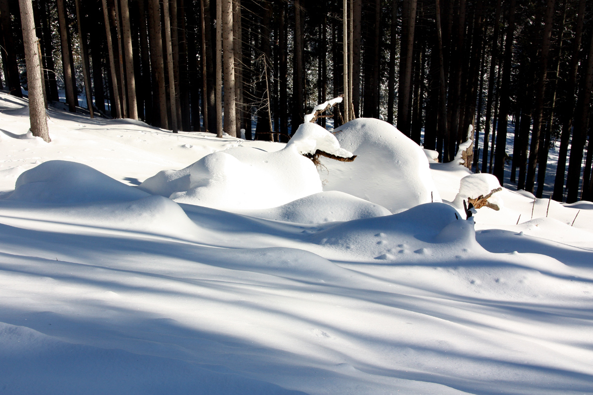IMG-8877.jpg