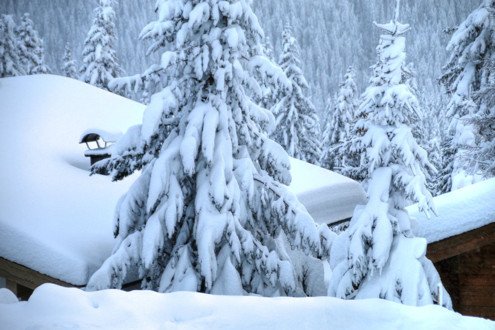 Téli idill Zillertalban - Fotó: Stánicz Balázs (Stani)