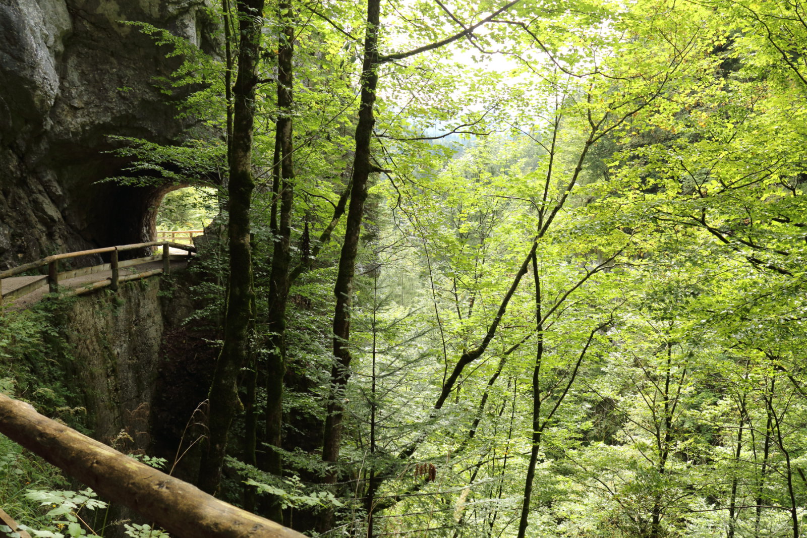Hangulatos út vezet vissza Gamsba