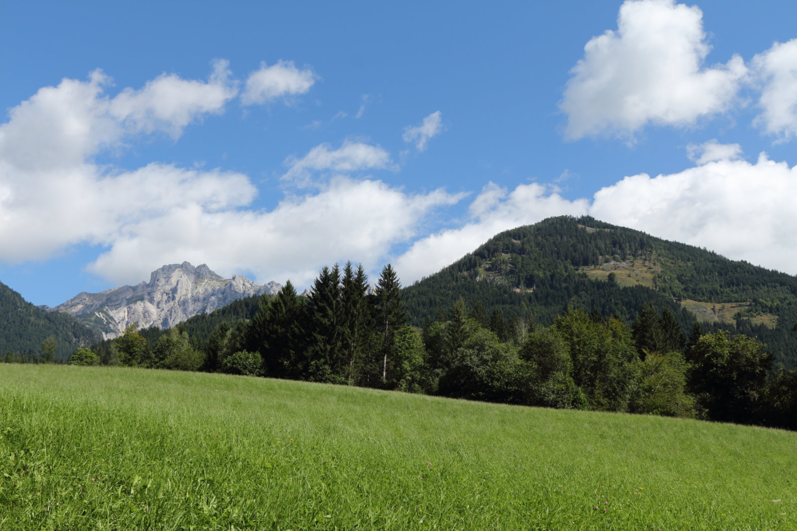 Alpesi rét Hall mellett