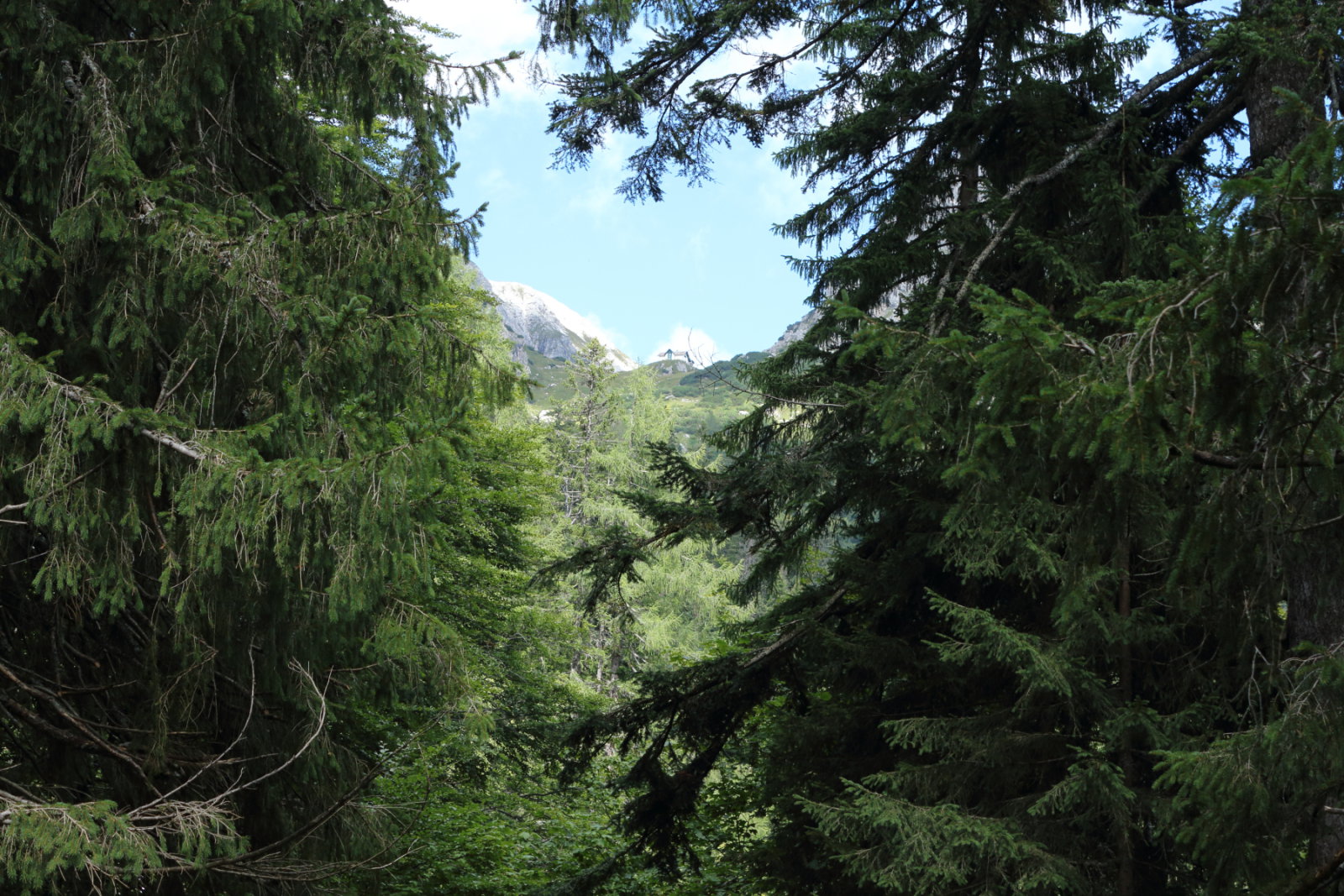 Úton az Admonter Haus felé