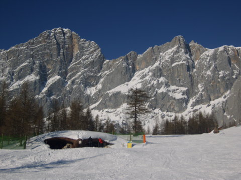 IMG-0023.JPG