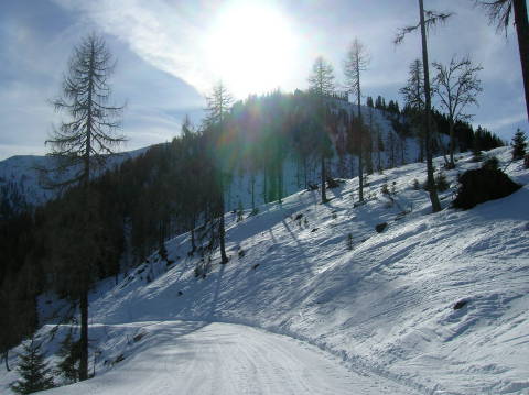 Goldeck-2011-039.jpg