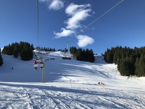 Tükörsima pályák