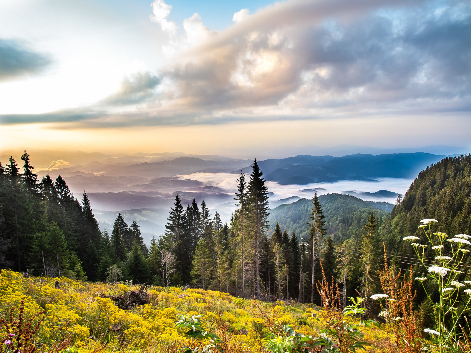 Golte panoráma