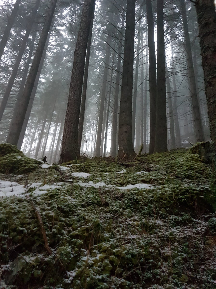 Az ősz utolsó napja