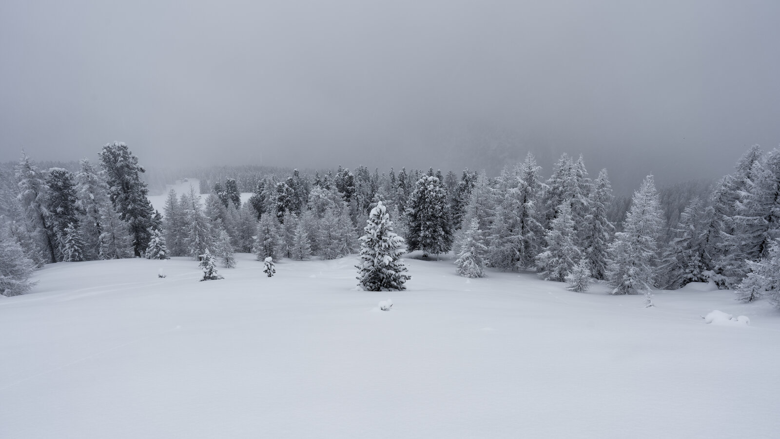 DSC01639-2.jpg