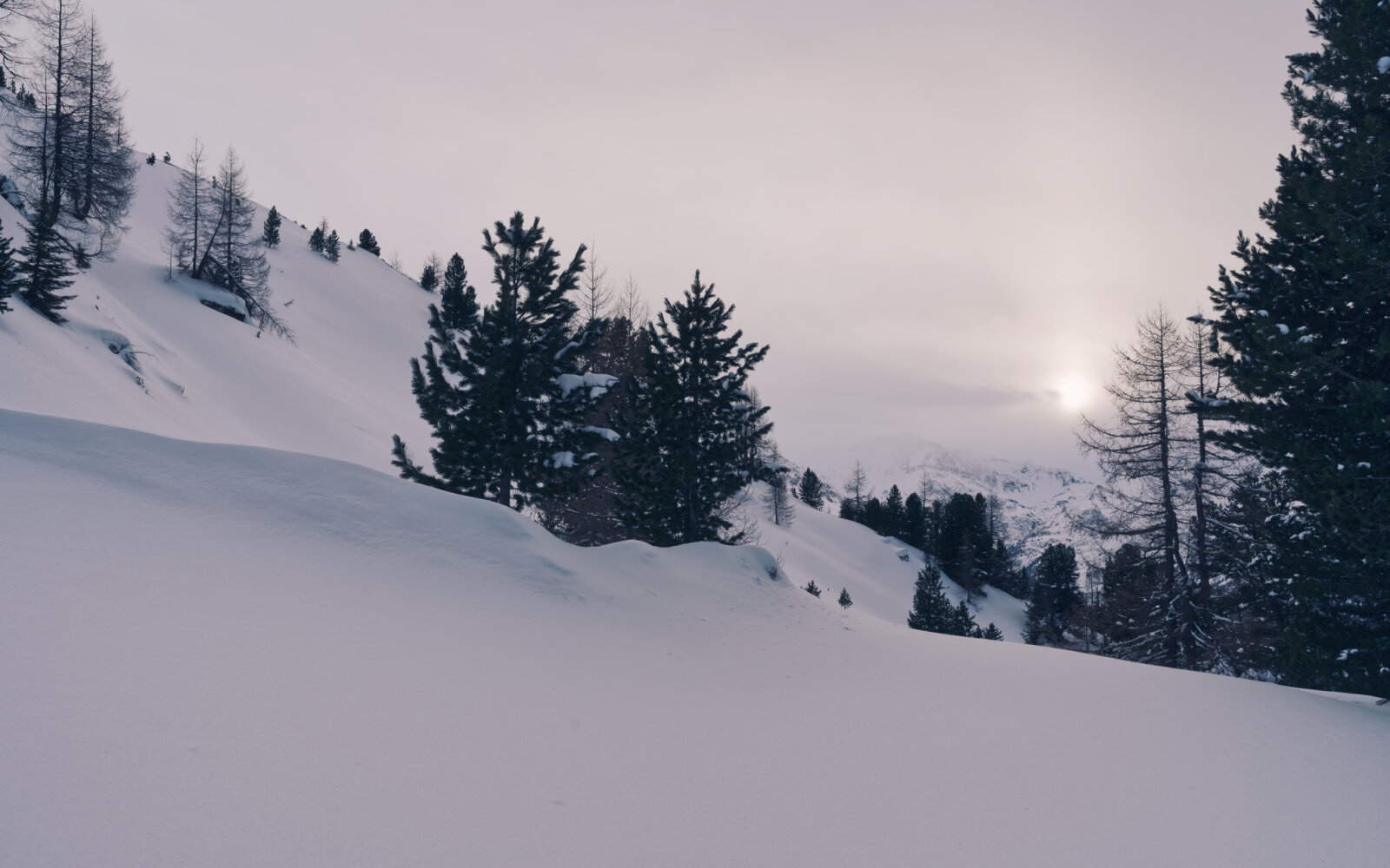 A legmagasabb pont, ameddig felmentem (2020m)