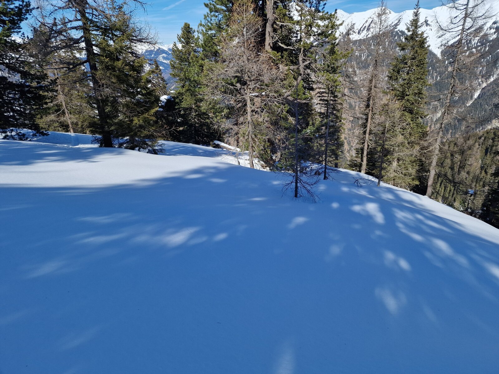 A felső részen már freeride-ra is alkalmas az erdő