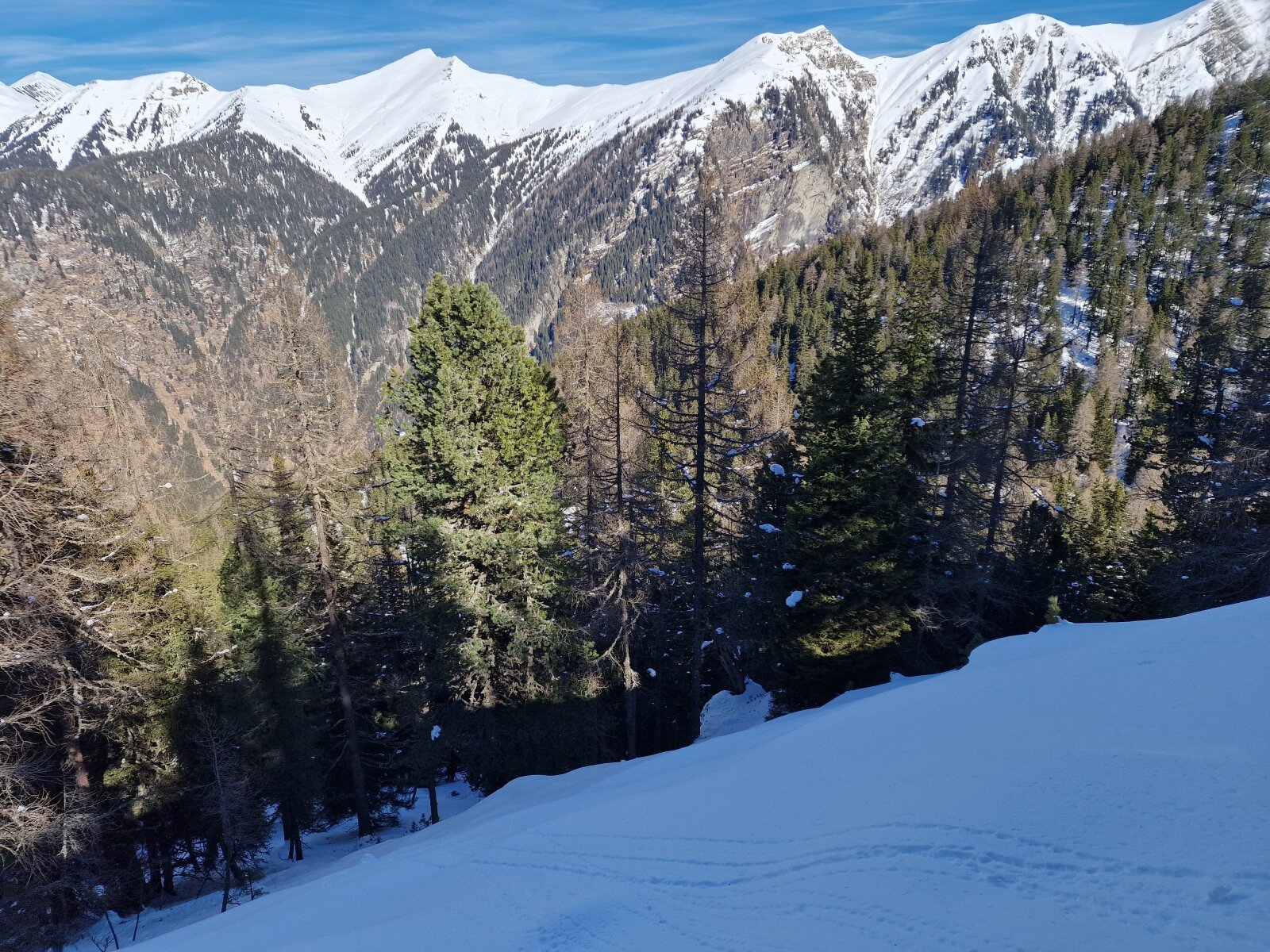 20260226-122541.jpg