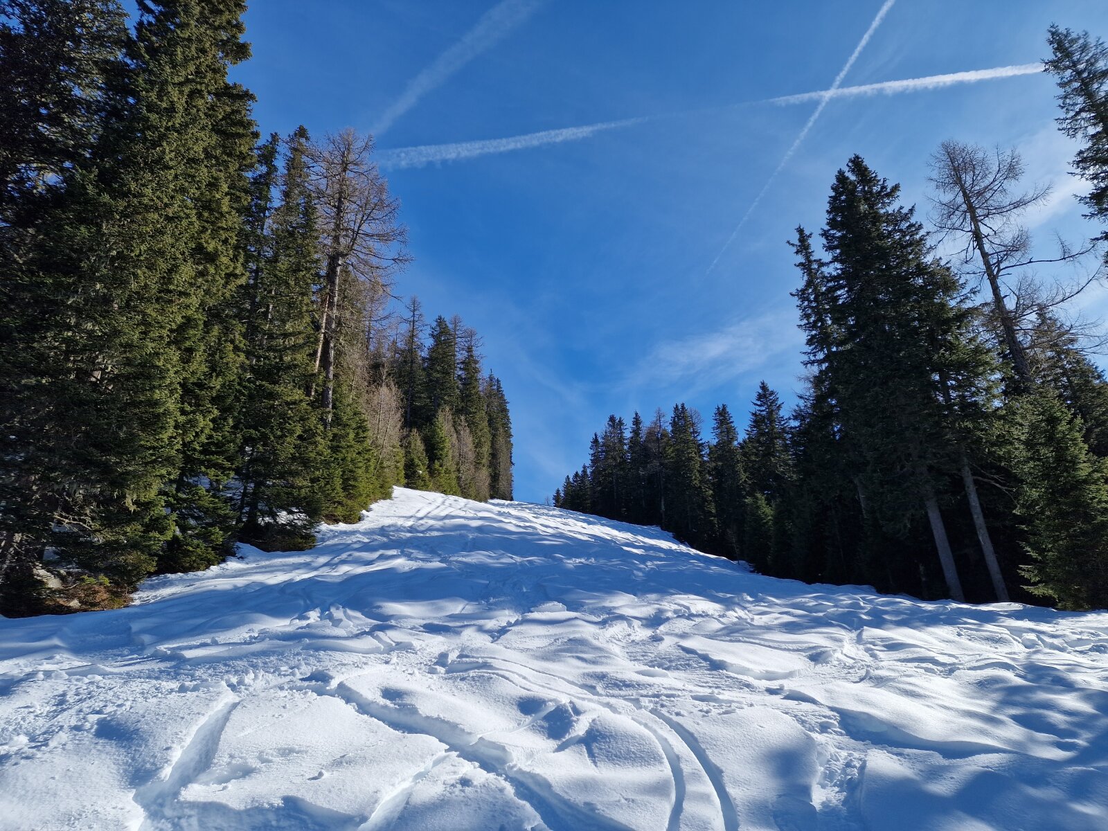A hátsó fekete pálya kezeletlen maradt