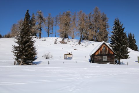 IMG-0628-2.JPG