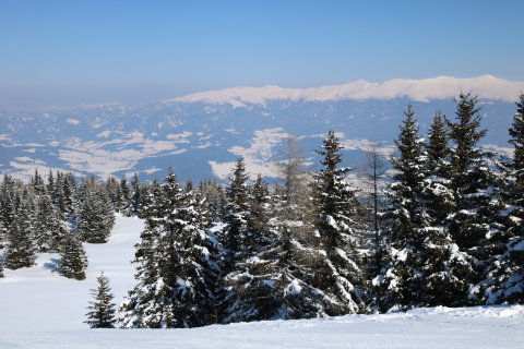 IMG-0646.JPG