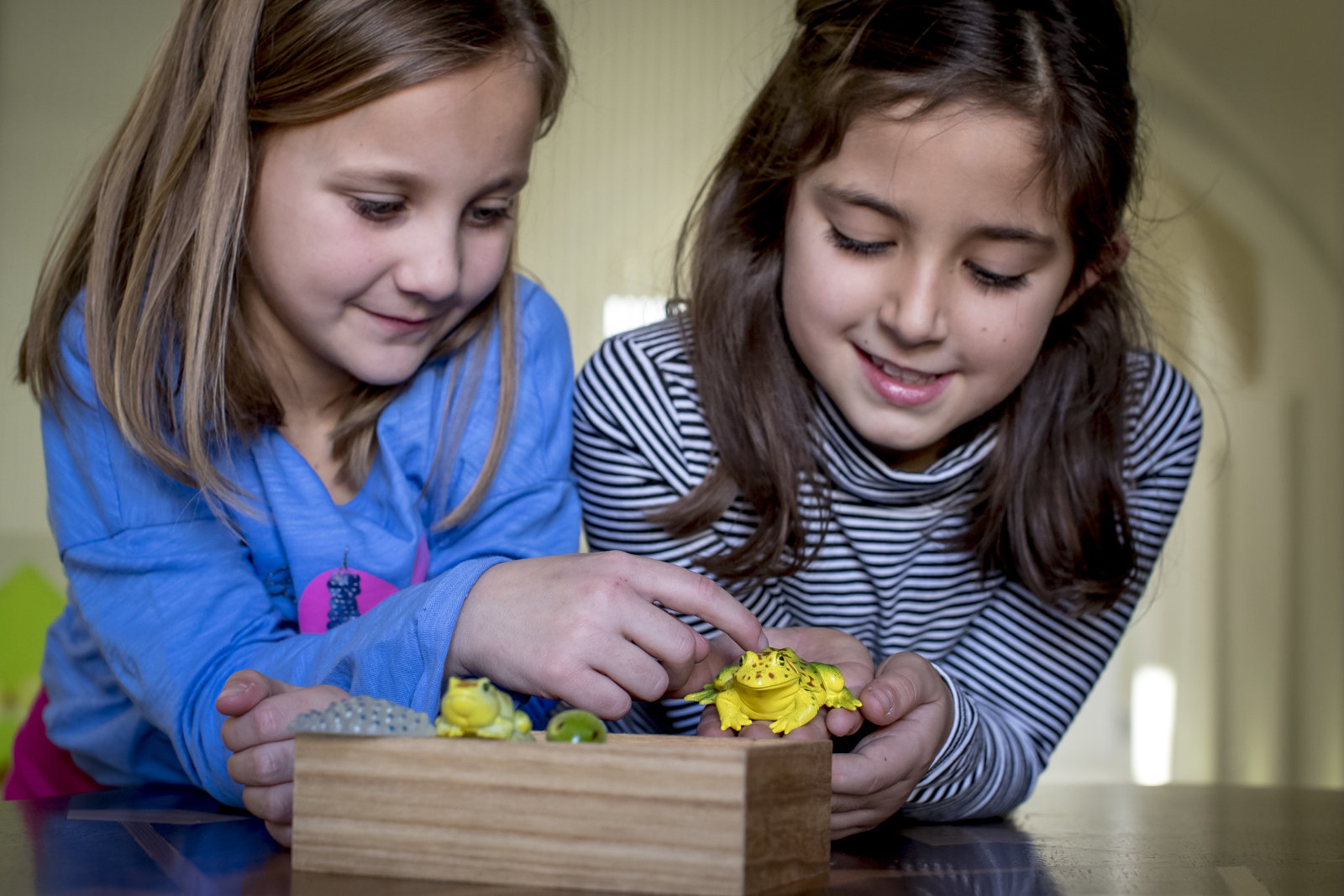 Naturlese Múzeum - © TVB Naturpark Zirbitzkogel-Grebenzen, ikarus.cc