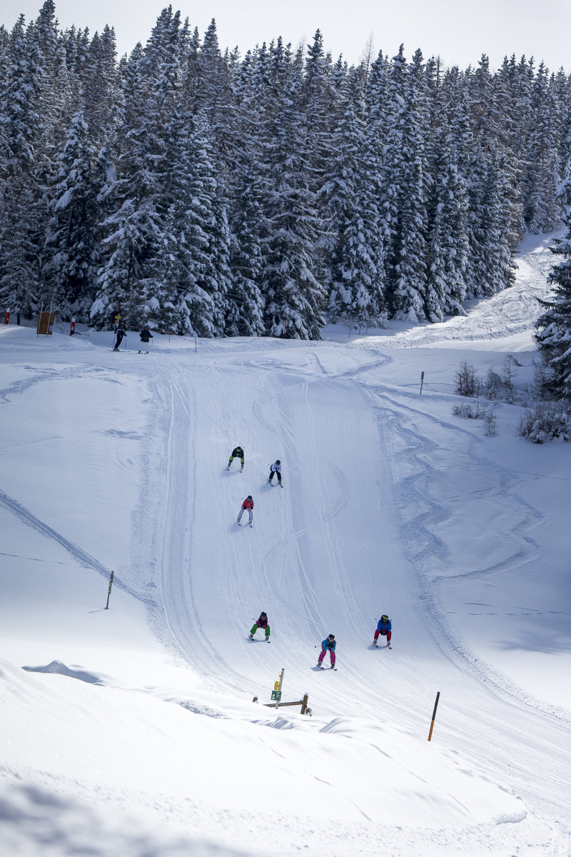Grebenzen síterep - Fotó: Ikarus