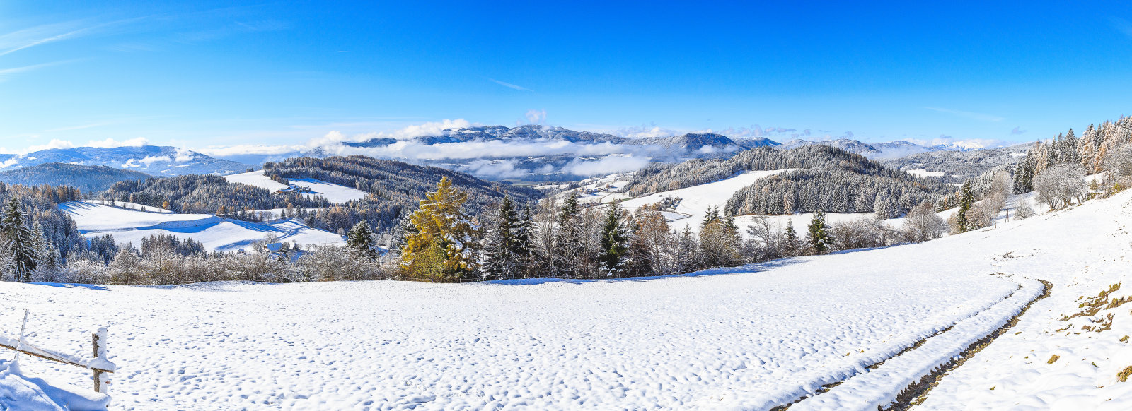 Naturpark Zirbitzkogel Grebenzen - Fotó: Brandlion