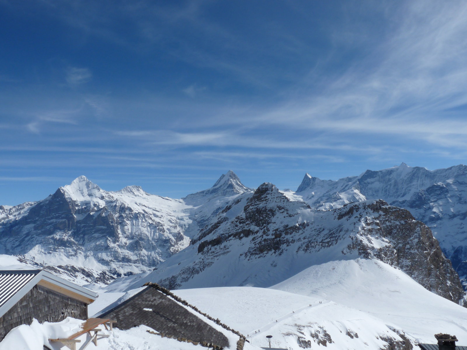 Wetterhorn, Schreckhorn