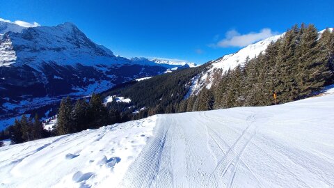 Völgybe vezető fekete pálya