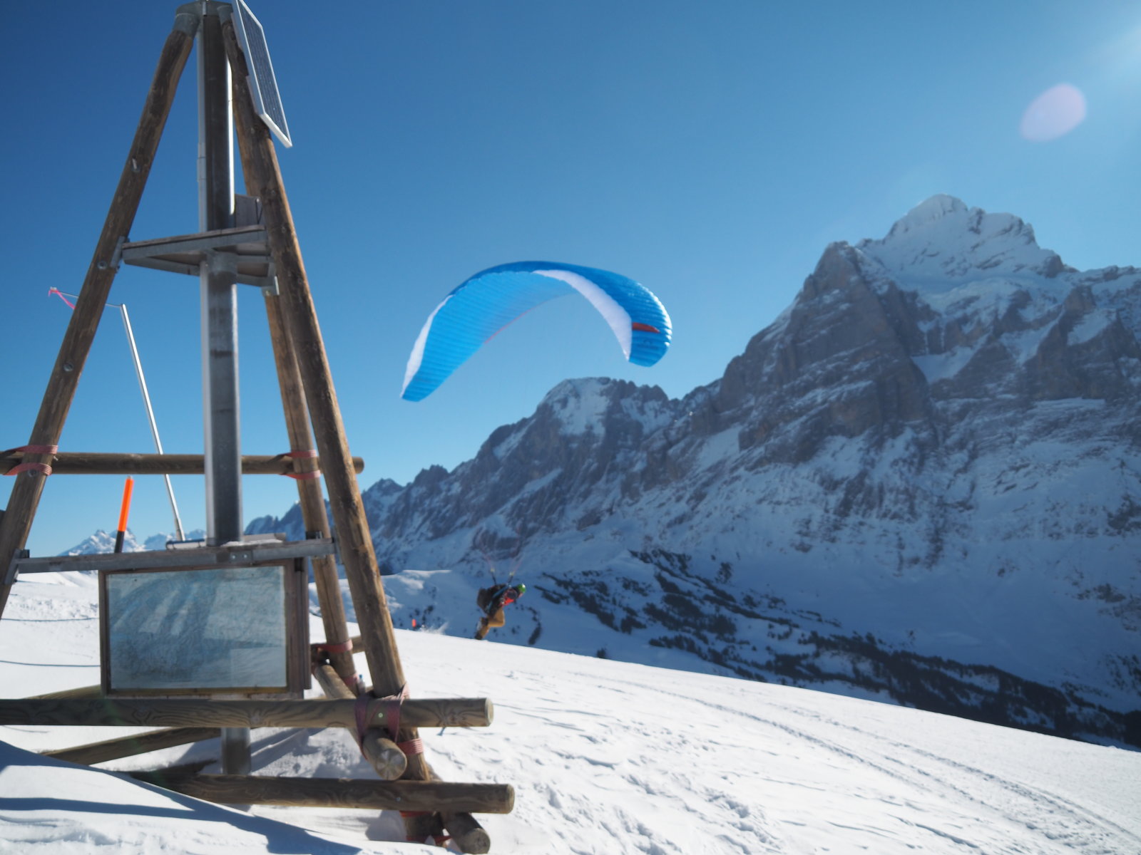 egy paplanernős épp felszáll, szemben a Wetterhorn