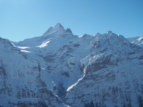 szemben a Schreckhorn
