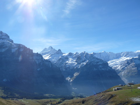 Schreckhorn