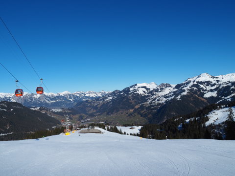 a völgyben tavasz van