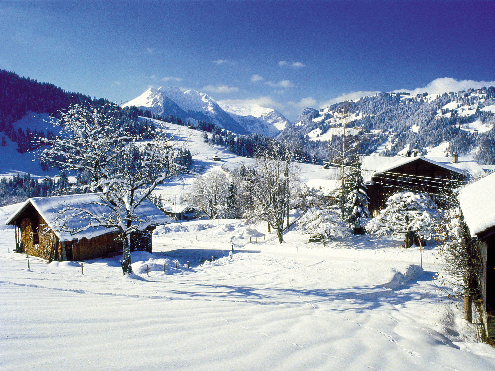 Gstaad Bissen