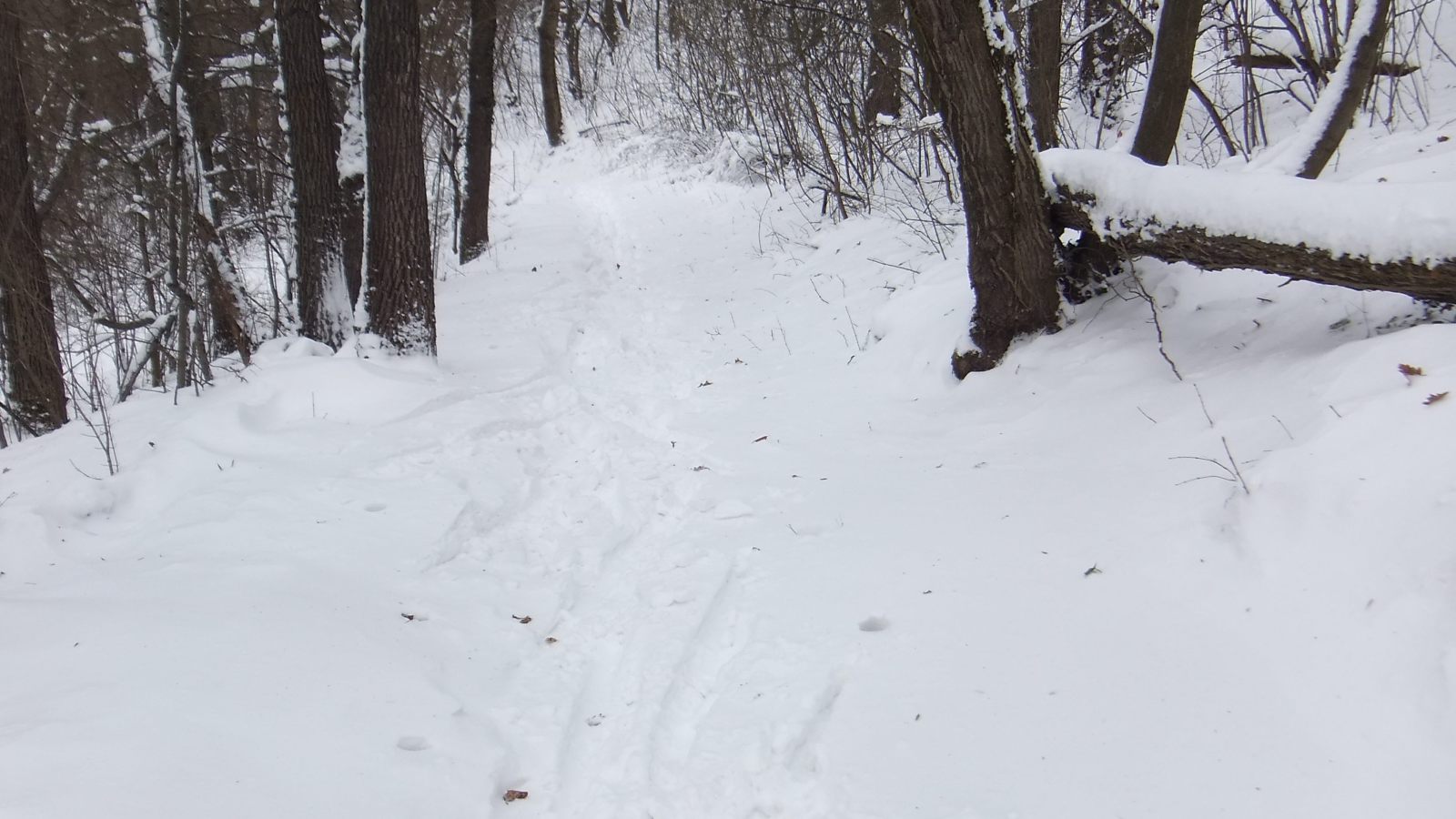 sífutó léc nyomok