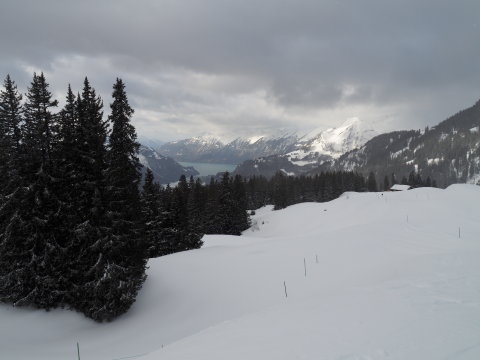 hátul a Brienzersee