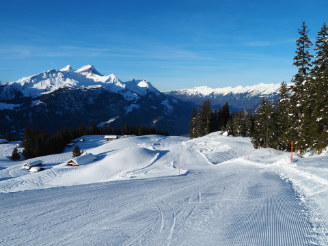 a pályán nem sokan zavartak