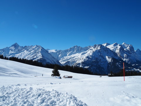 jobb oldalon szemben a Wetterhorn és az Eiger csúcsa