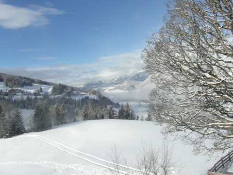 Kilátás a Berglandhaus Martinból