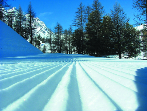 Foret blanche Vars Risoul