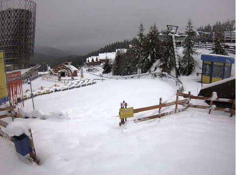 20 cm Katschin - Fotó: facebook