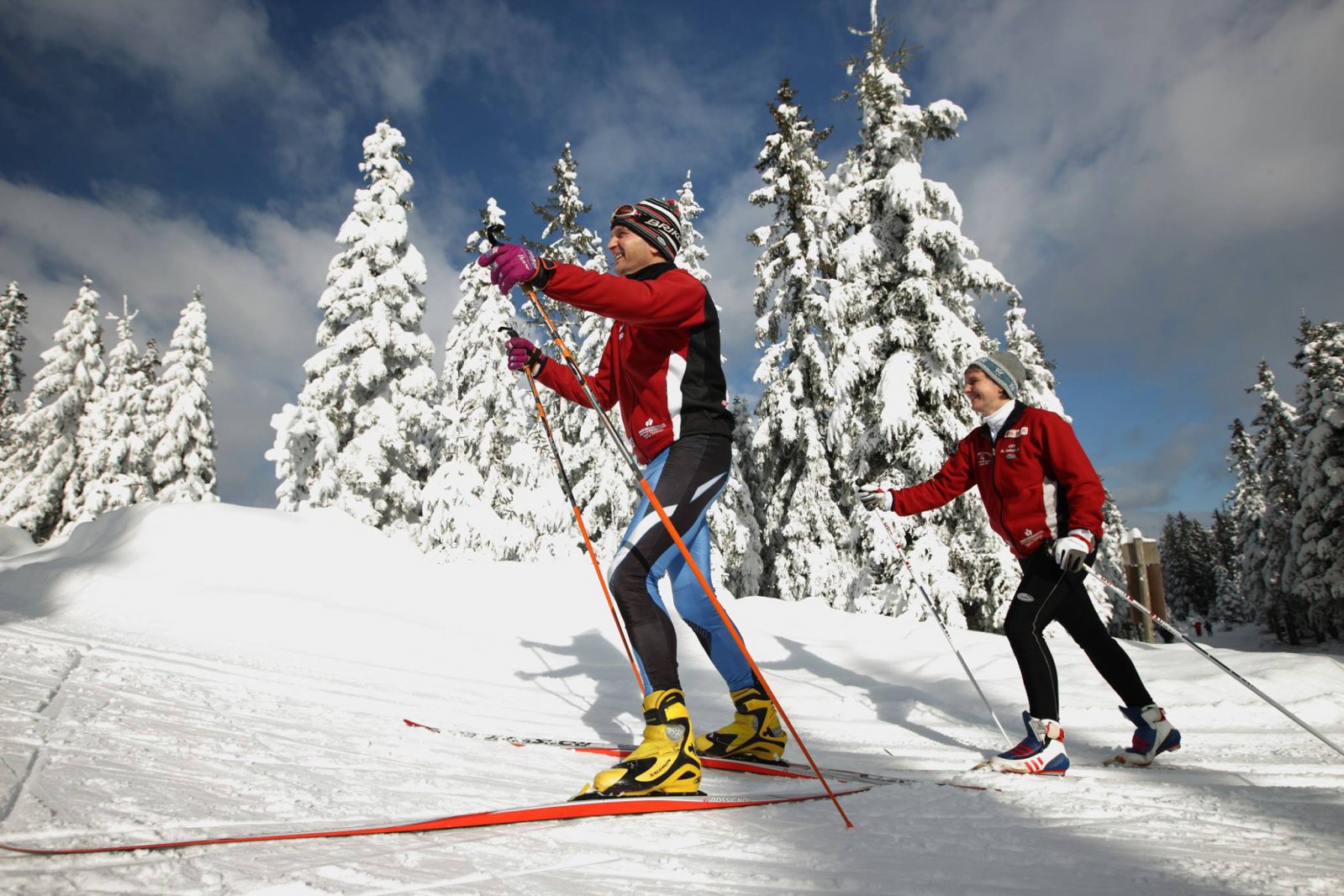 Sífutás Kelet-Stájerországban