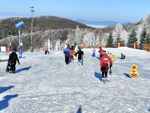 IMG-6578.jpg