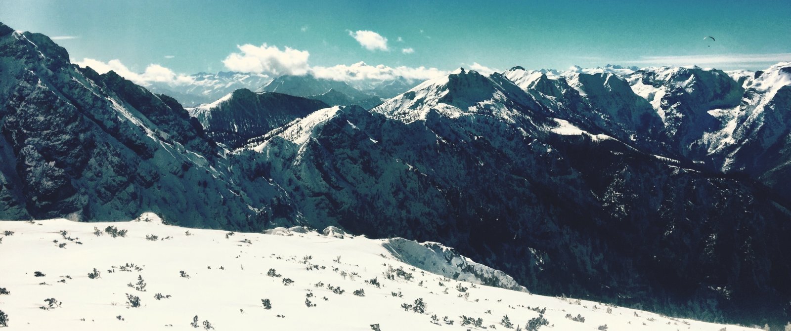 IMG-6191.jpg