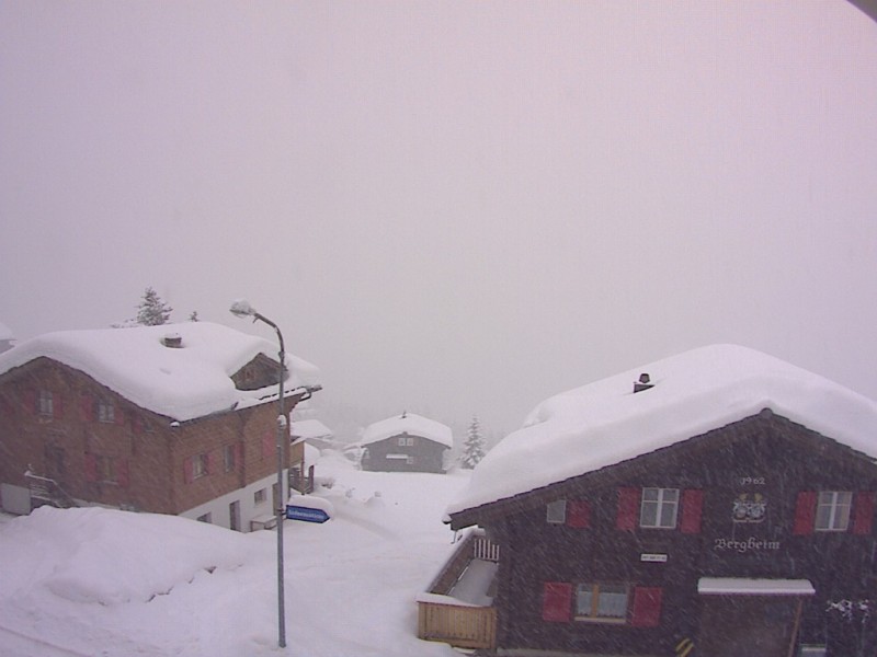 Bellwald (CH) - 2013.02.01 - Kattints a képre a nagyításhoz