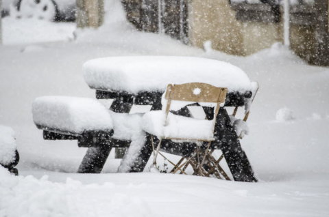 VARS la Foret Blanche (F)