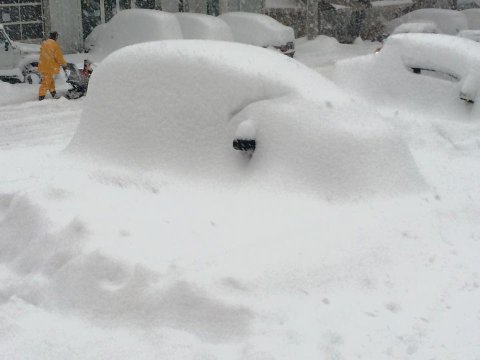 Paradiski (F) (Facebook)