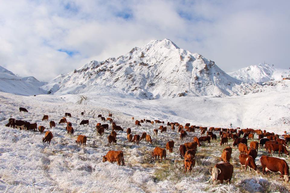 La Plagne, Franciaország