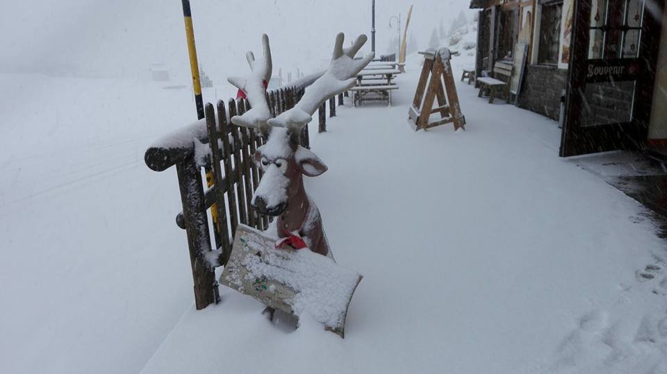 Passo Rolle tegnap, ITA