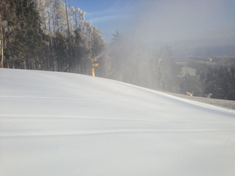 Jauerling - fotó: facebook - Kattints a képre a nagyításhoz