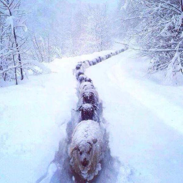 Hihetetlen kép a spanyol oldalról (Navarra tartomány)